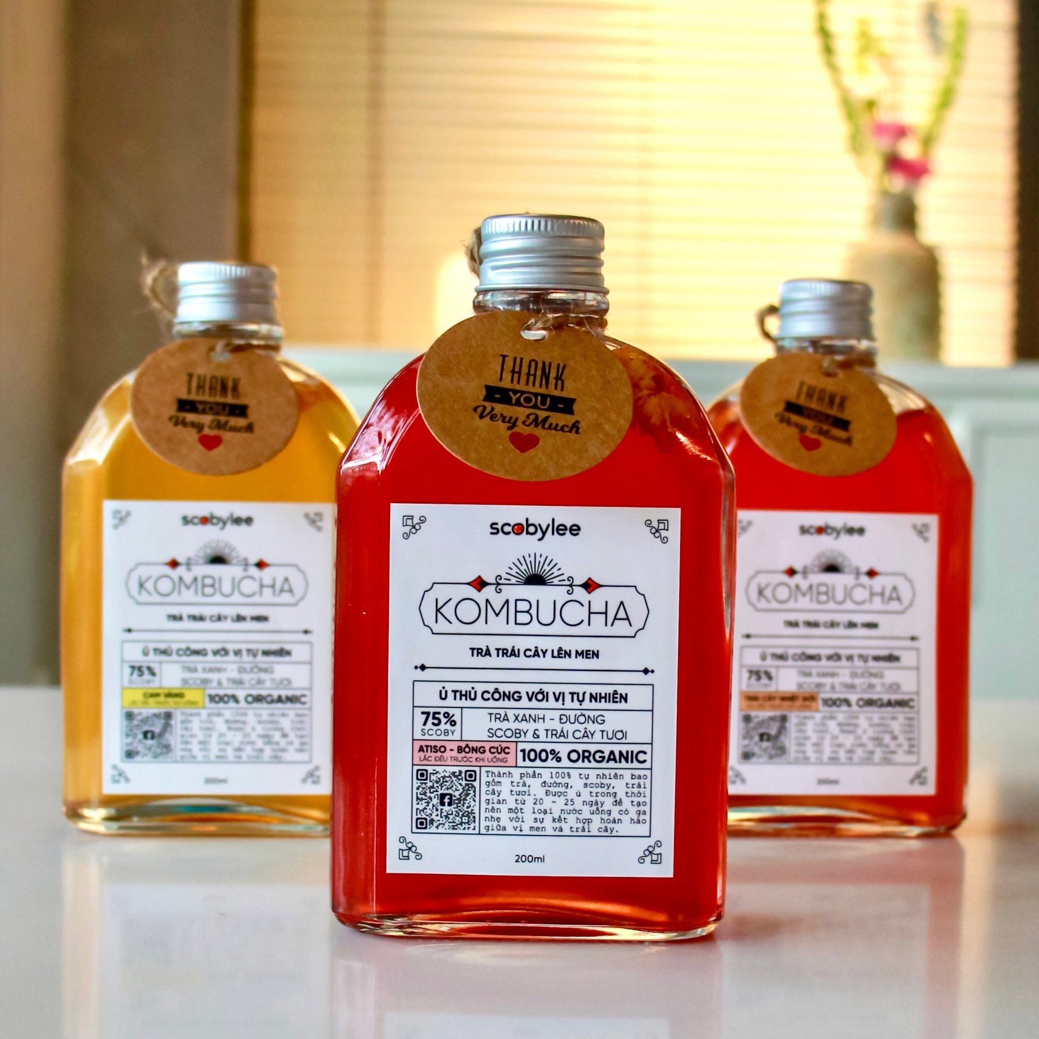 [Premium Combo] 3 chai Scobylee Kombucha Basic Tea (200ml) vị bất kì